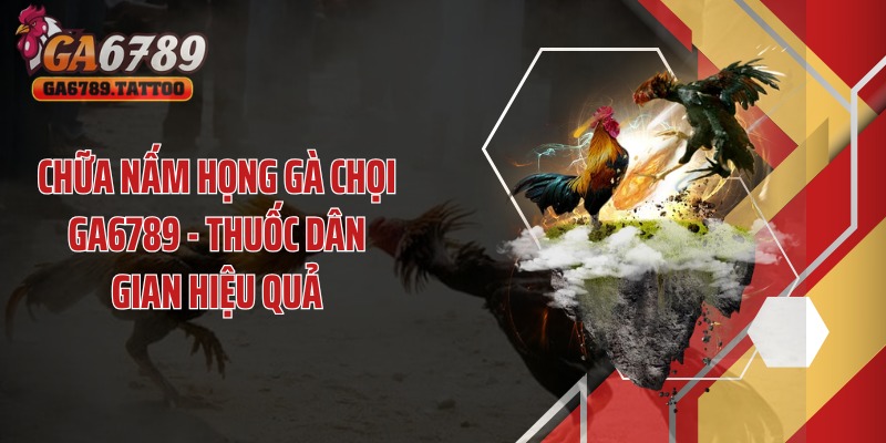 Chữa Nấm Họng Gà Chọi GA6789 - Thuốc Dân Gian Hiệu Quả